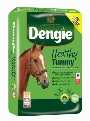 Dengie Healthy Tummy 20kg