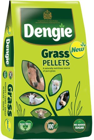 Dengie Grass Pellets 20kg