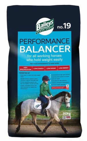 Baileys No.19 Performance Balancer 20kg Baileys No.19 Performance Balancer 20kg