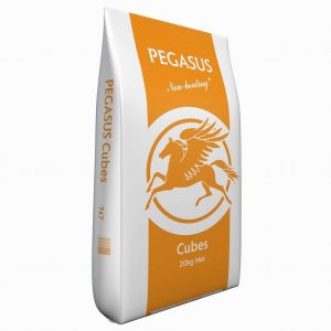 Pegasus Cubes 20kg