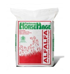 Horse Hage Red (Lucerne)