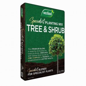 Westland Tree & Shrub  Planting & Potting Peat Free Mix 46L