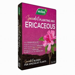 Westland Ericaceous Planting & PottingMix 46L Peat Reduced