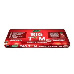 Westland Big Tom Tomato Planter Peat Free Large