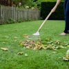 KS SS Lawn / Leaf Rake FSC-100%-SA-COC-010265 - Image 3