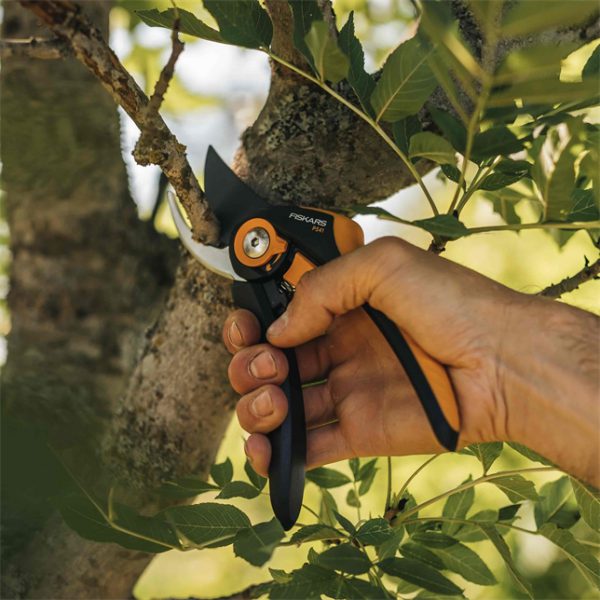 Plus Smartfit pruner bypass P541