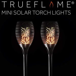 Trueflame Mini