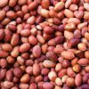 Bartholomews Colonels Peanuts 13Kg - Image 2