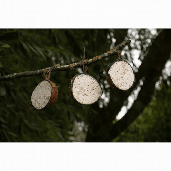 Peckish Natural Balance Coconut Feeder 4PK