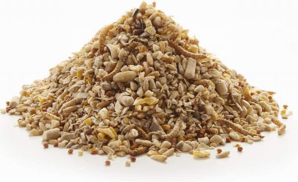 Peckish Robin Seed & Insect Mix 1Kg