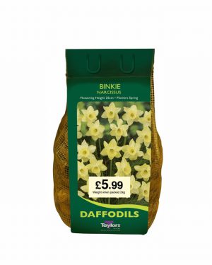 Taylors Bulbs NARCISSI BINKIE CARRI-PACK 2KG