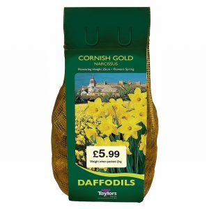 Taylors Bulbs NARCISSI CORNISH GOLD CARRI-PACK 2KG