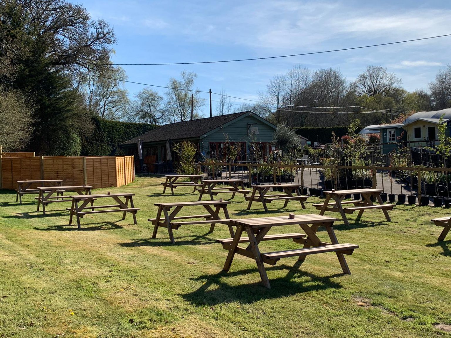 Tea room - Aylings Garden Centre